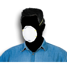 MOLDED DUST MASK(240)