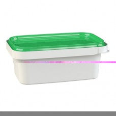 16oz clear TE rectangle container(540)